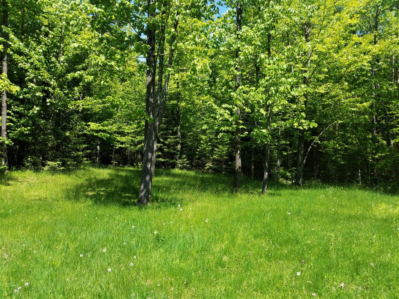 W8228 Myers Road Park Falls, WI 54552 - Photo 16 of 18 Gallery Image 16