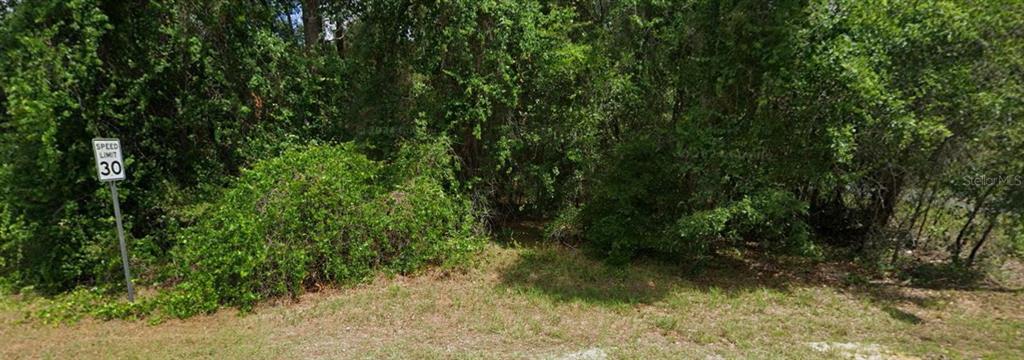 2895 East Marcia Street Inverness, FL 34453 - Photo 2 of 2 a view of a forest with a tree