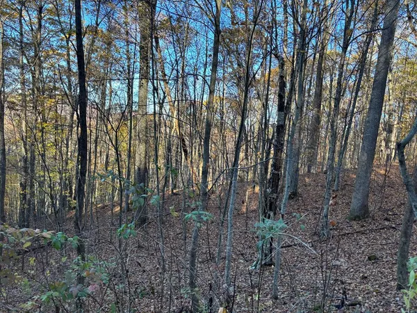 $159,999 | Lot#39 Falcon Stone Ridge, Topton, NC 28781