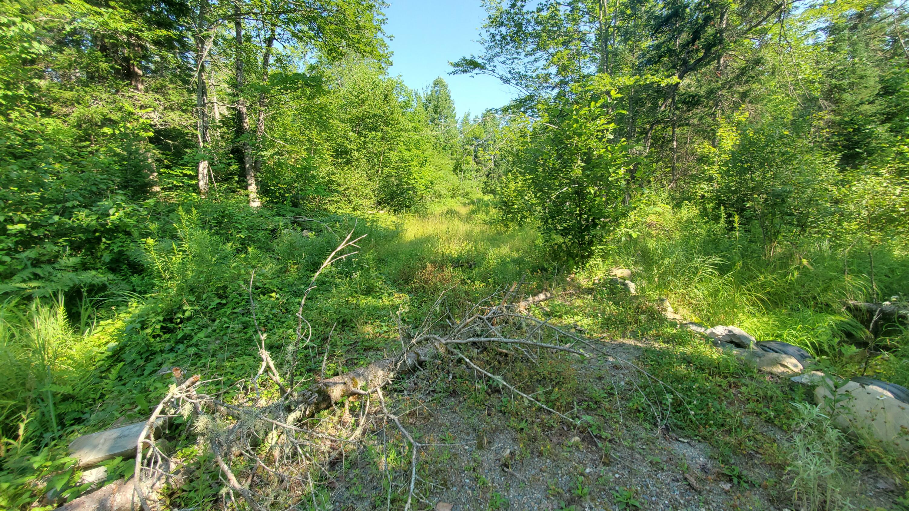 202 Lower Cross Road Hudson, ME 04449 - Photo 10 of 44 20240717_093628