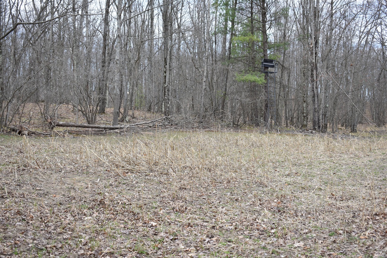 6590 Deer Path Drive Reed City, MI 49677 - Photo 29 of 32