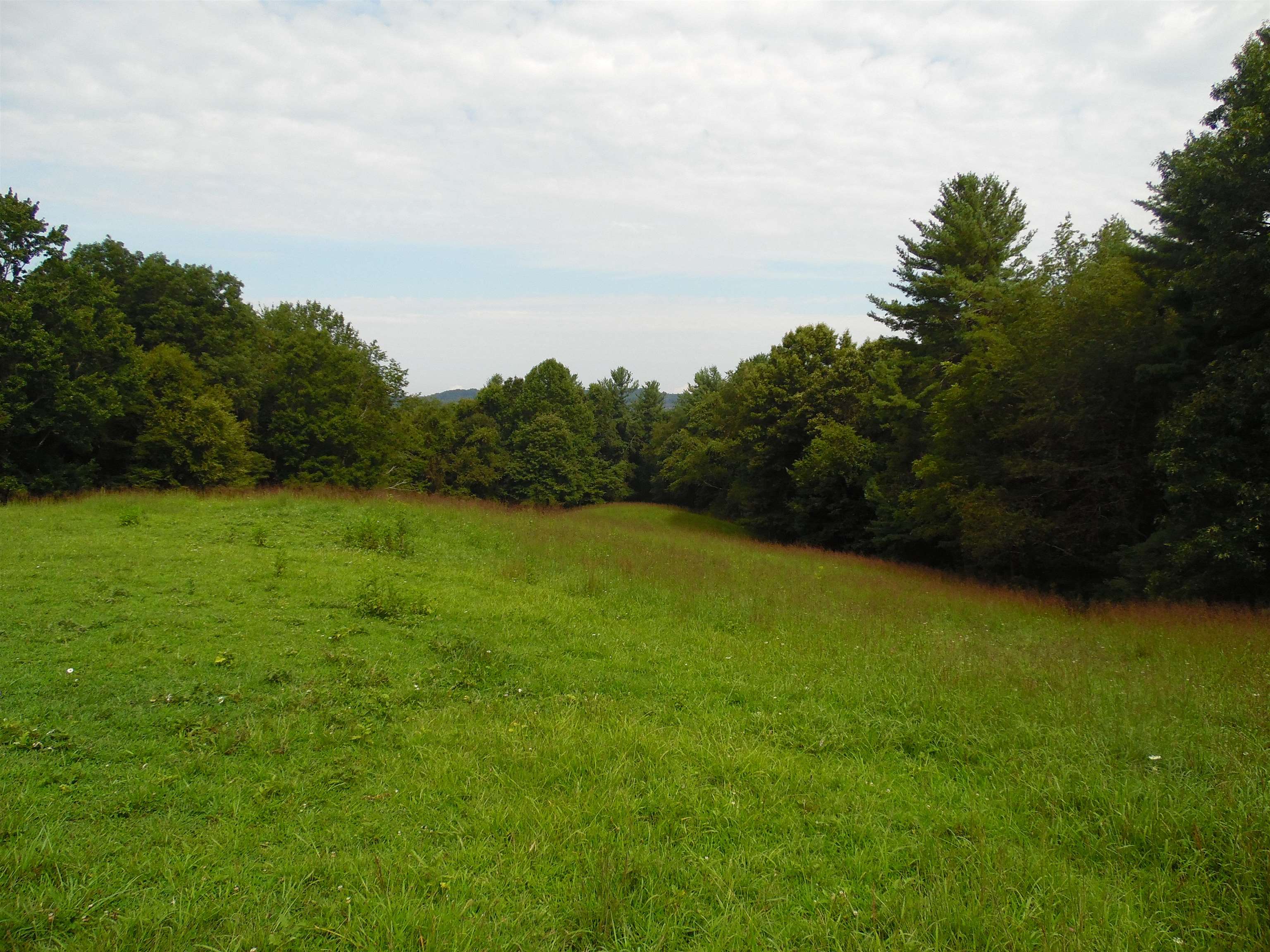 Tbd Easter Creek Road Northwest Riner, VA 24149 - Photo 4 of 8 Gallery Image 4