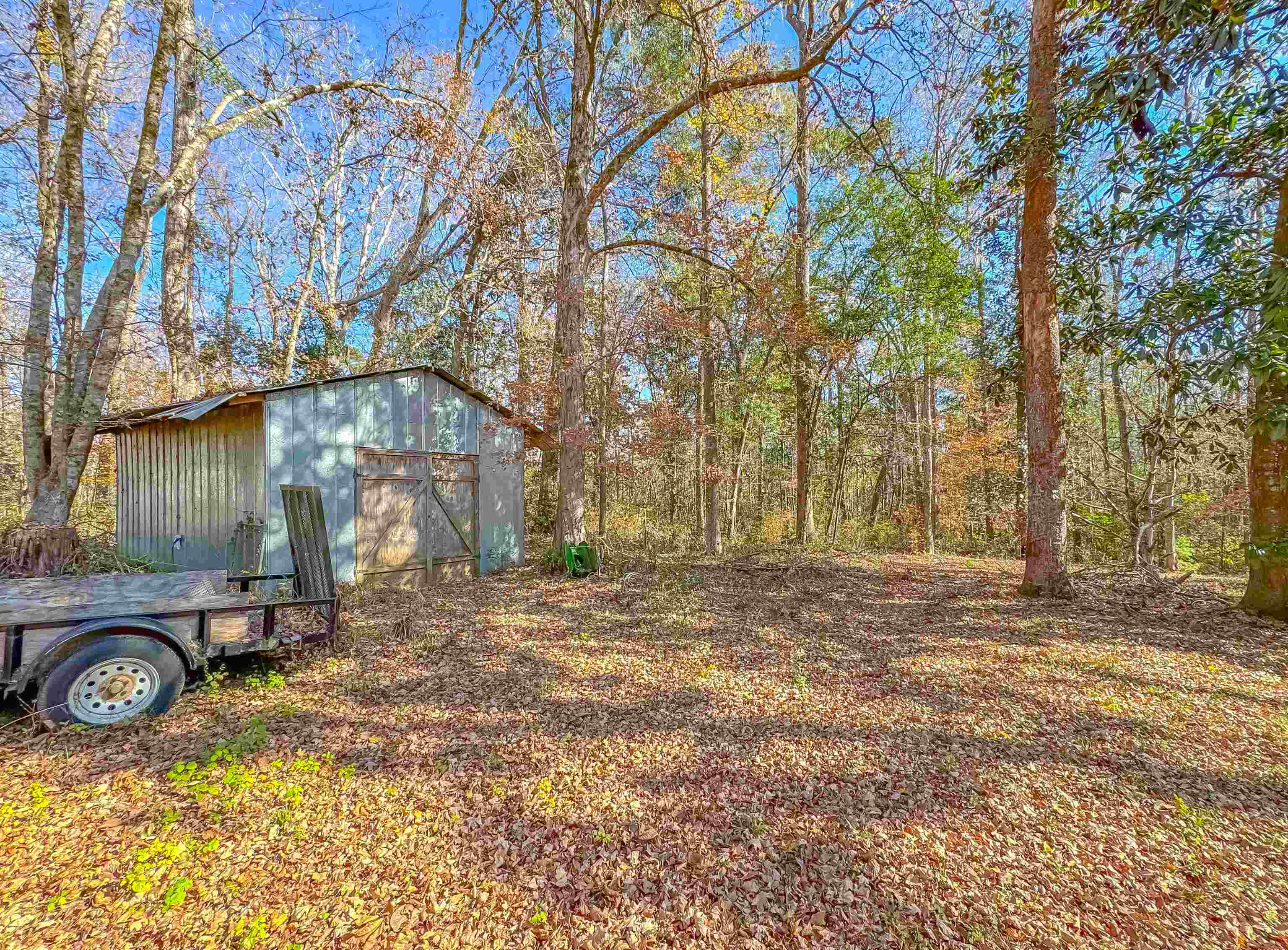 194 Deer Run Road Monticello, FL 32344 - Photo 3 of 34 Gallery Image 3