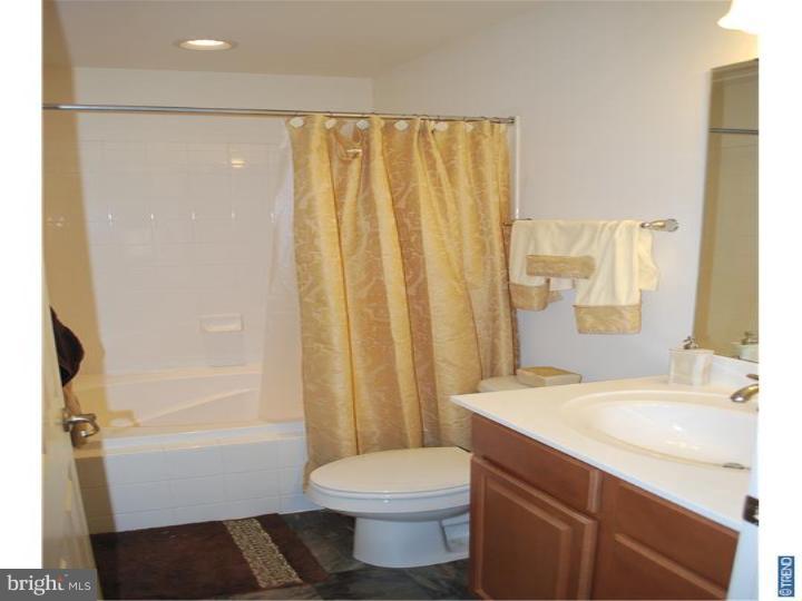 198 Tulsk Road Avondale, PA 19311 - Photo 8 of 18 Master Bathroom