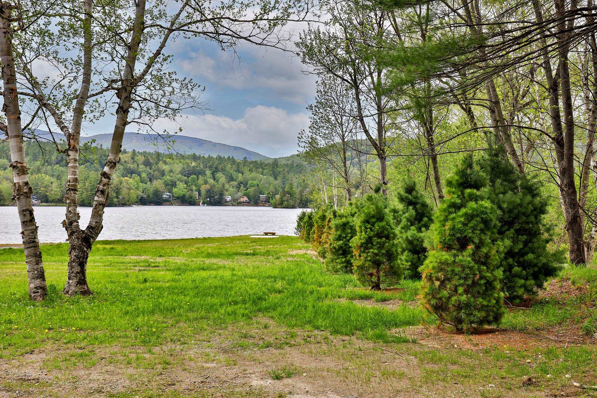 775 East Lake Road Ludlow, VT 05149 - Photo 4 of 33