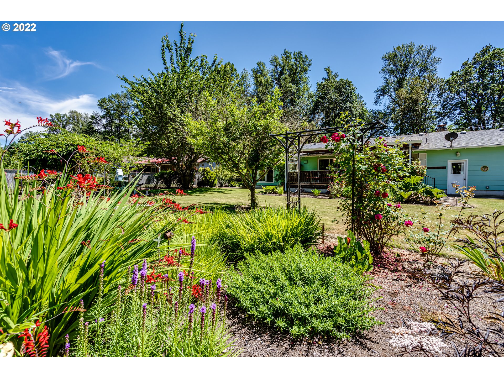37833 Camp Creek Road Springfield, OR 97478 - Photo 23 of 32 a view of a yard with plants