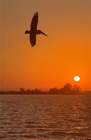 $1,725,000 | 5707 Yeats Manor Drive, Unit 201, Tampa, FL 33611