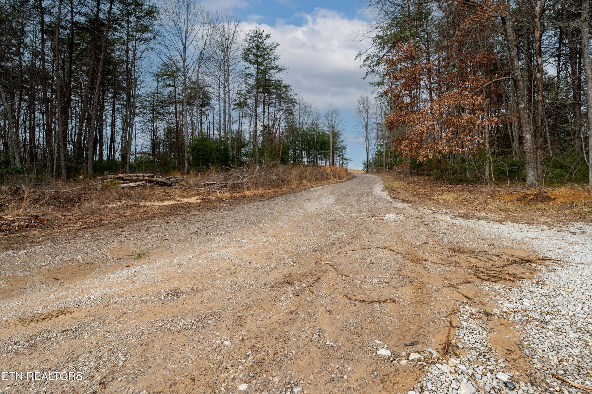 1567 Twin Bridge Road Deer Lodge, TN 37726 - Photo 24 of 26 Gallery Image 24