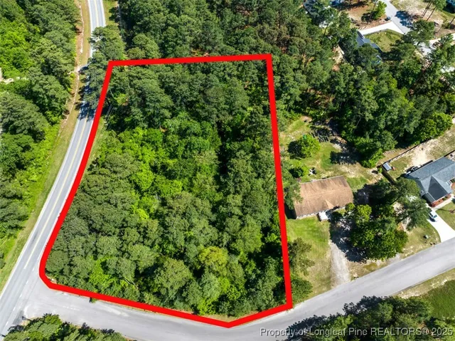 a picture of flowers