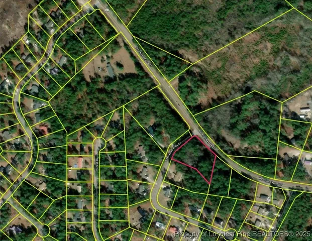 a picture of a tree with a plant