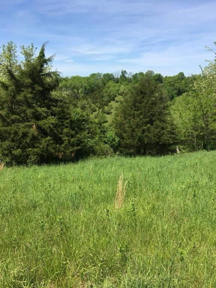 1 Mount Moriah Road Carlisle, KY 40311 - Photo 27 of 28 Listing Photo