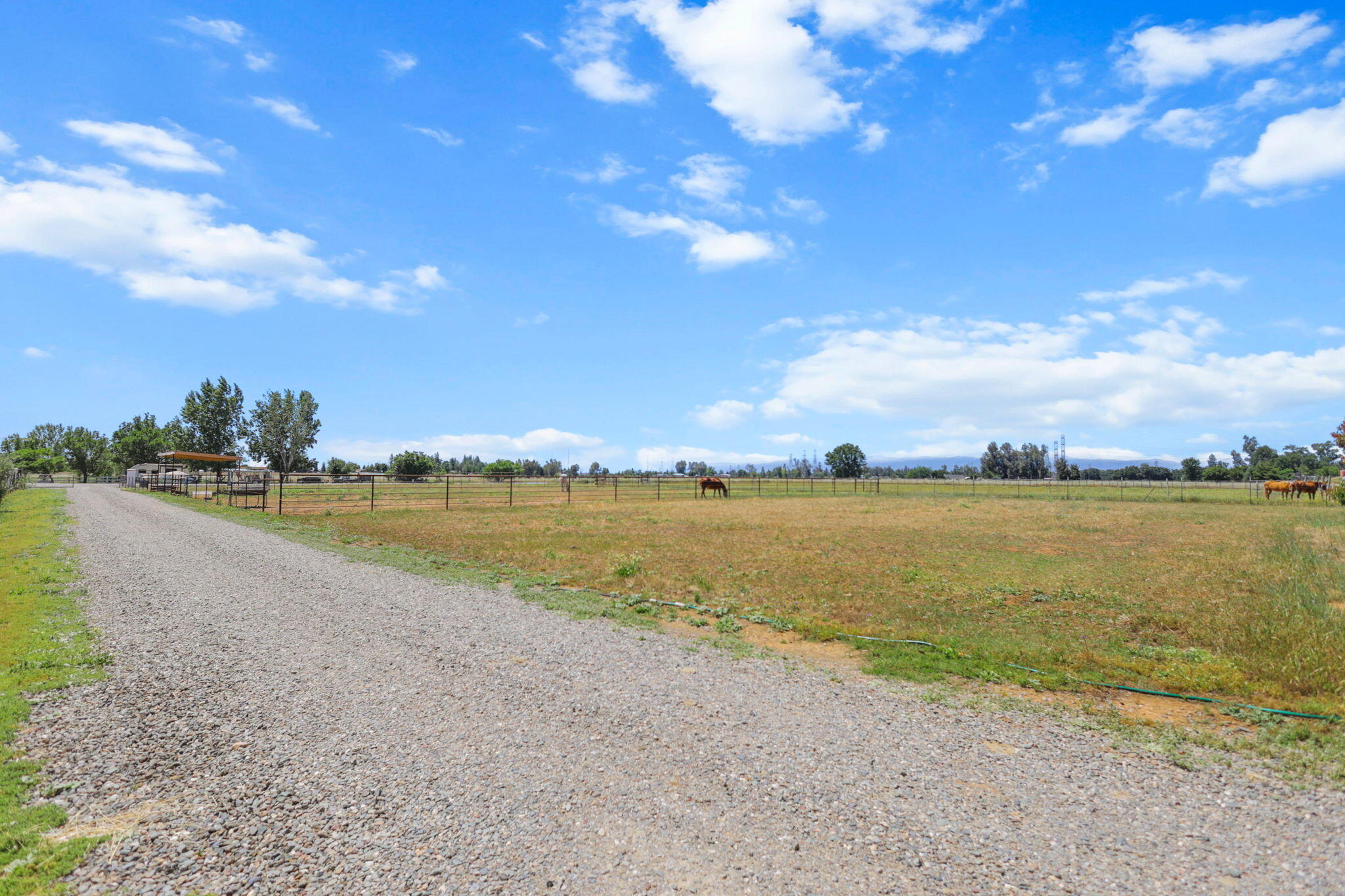 12481 Paskenta Road Red Bluff, CA 96080 - Photo 47 of 82 41-web-or-mls-8Q0A0286