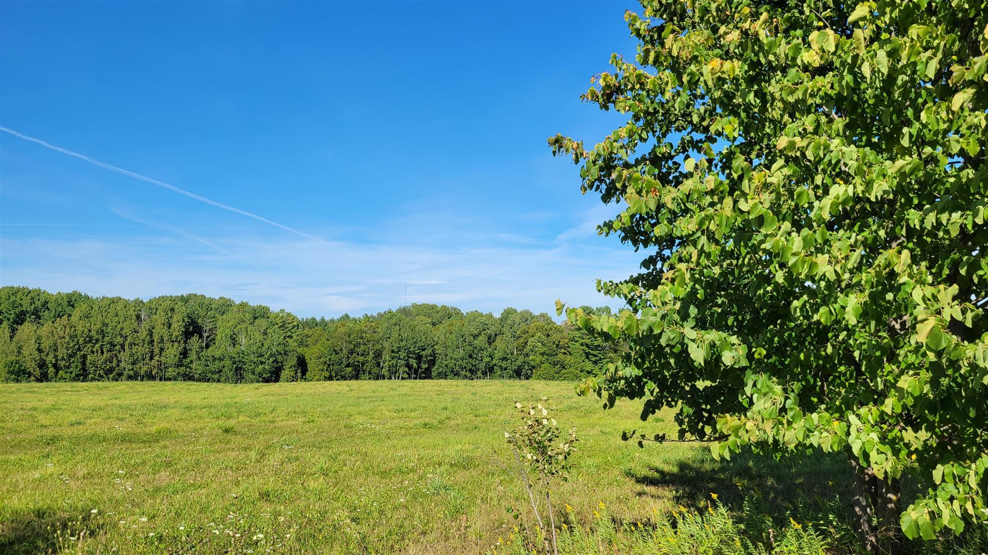South River Road Cheboygan, MI 49721 - Photo 5 of 6 Gallery Image 5
