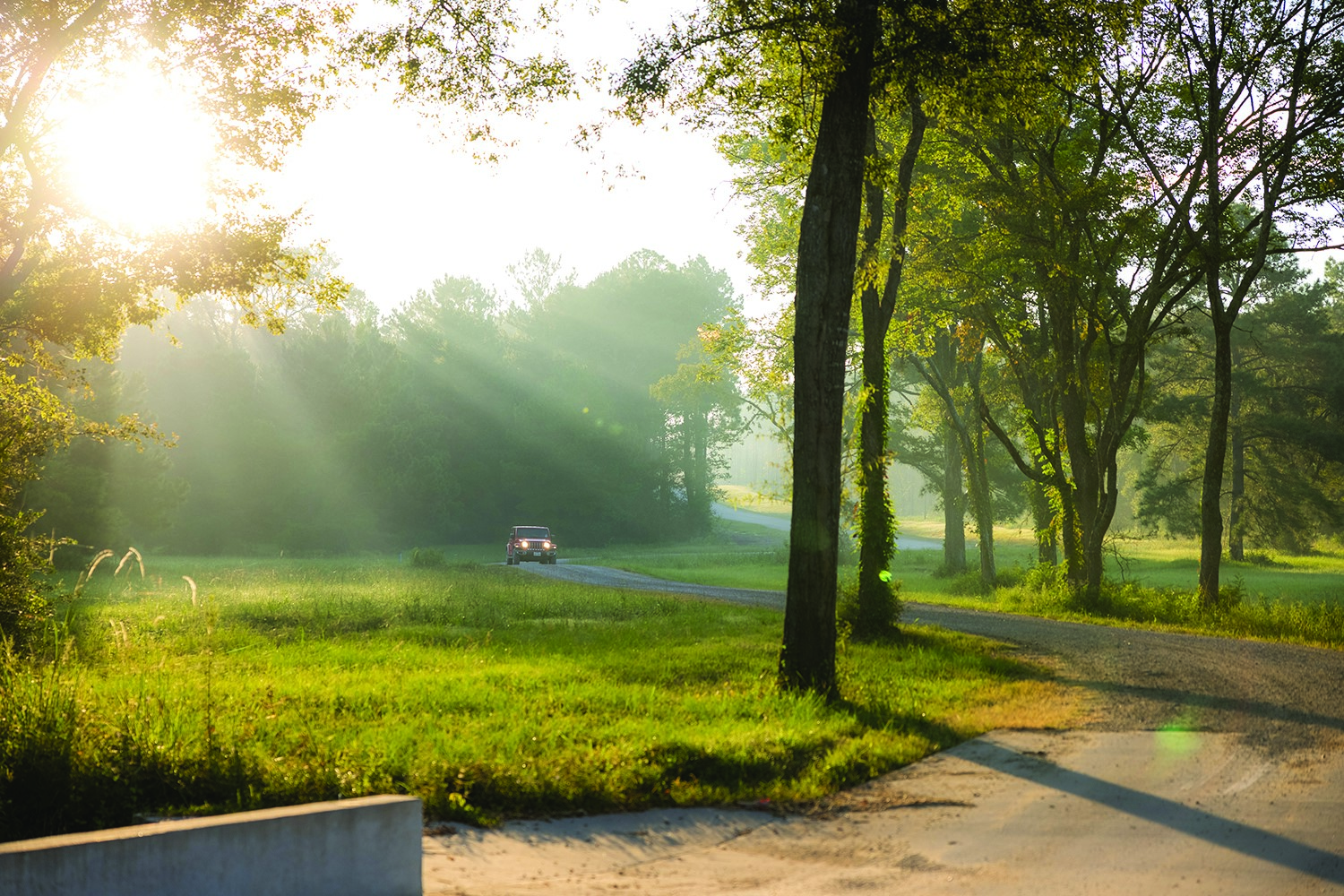 12950 Oak Barrel Road Willis, TX 77378 - Photo 11 of 15 a view of a yard with an outdoor space