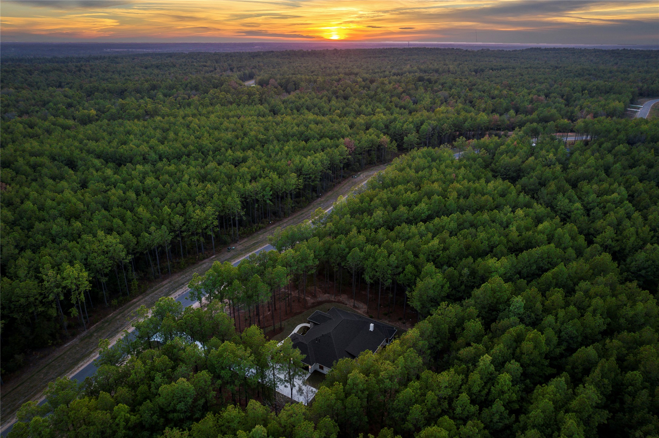 12950 Oak Barrel Road Willis, TX 77378 - Photo 14 of 15 a view of a lush green forest with a house