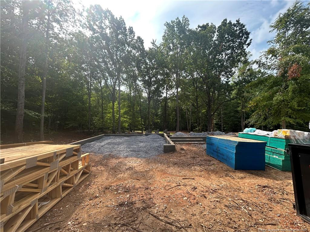 2 Buckhorn Road Moncure, NC 27559 - Photo 2 of 4 Photo 2