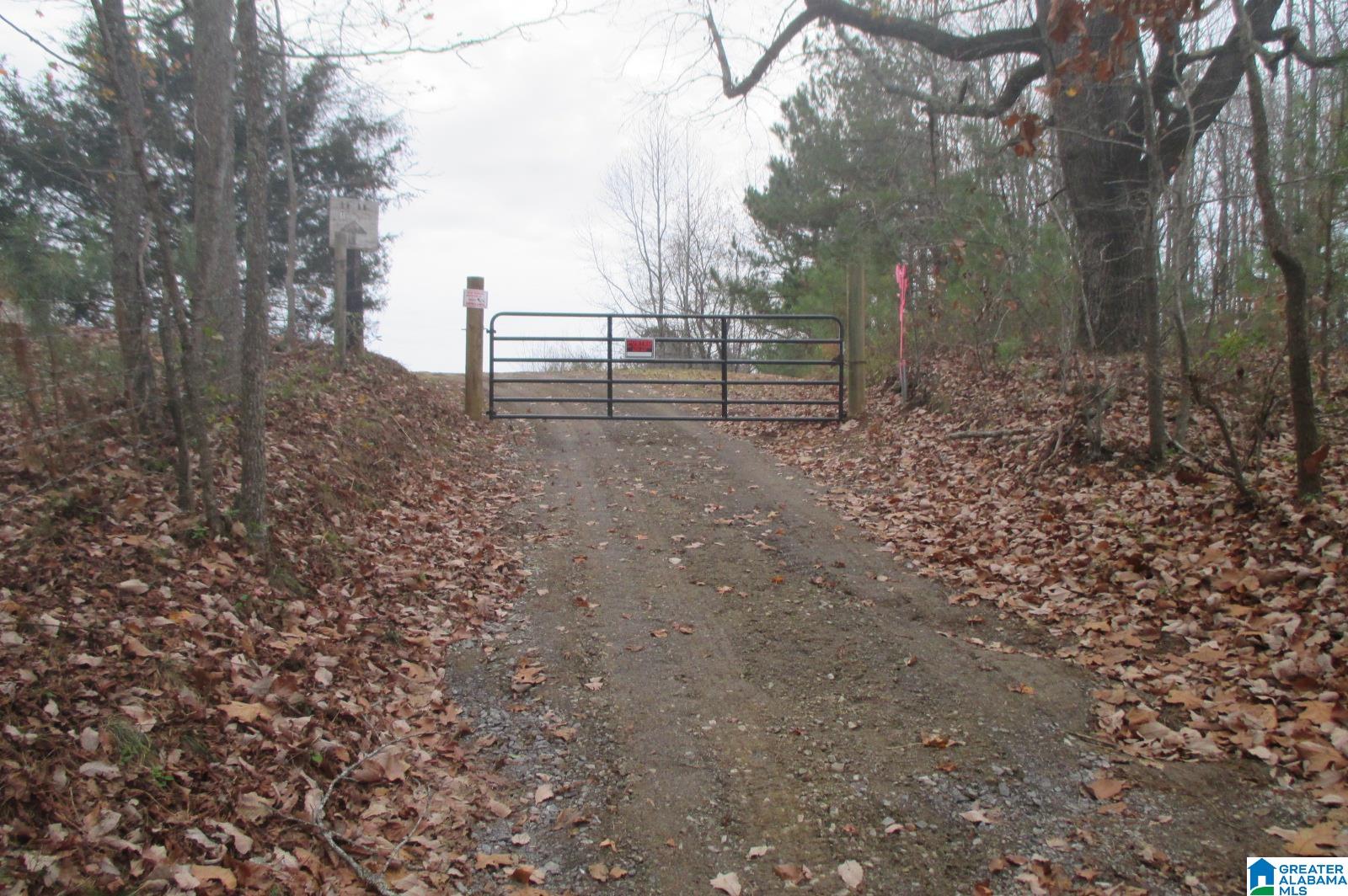 10362 Co Highway 24 Oneonta, AL 35121 - Photo 5 of 17