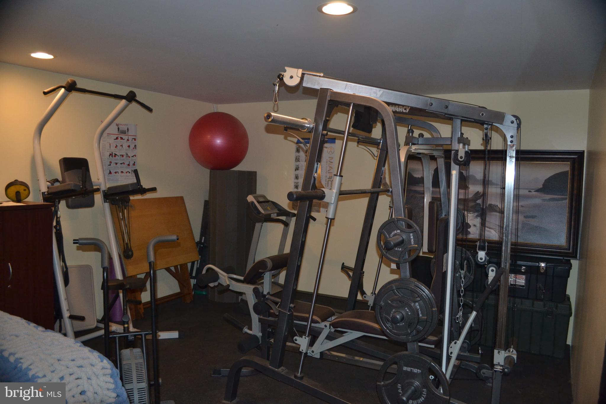 119 Range Road Louisa, VA 23093 - Photo 20 of 24 Exercise room in basement with rubber gym flooring