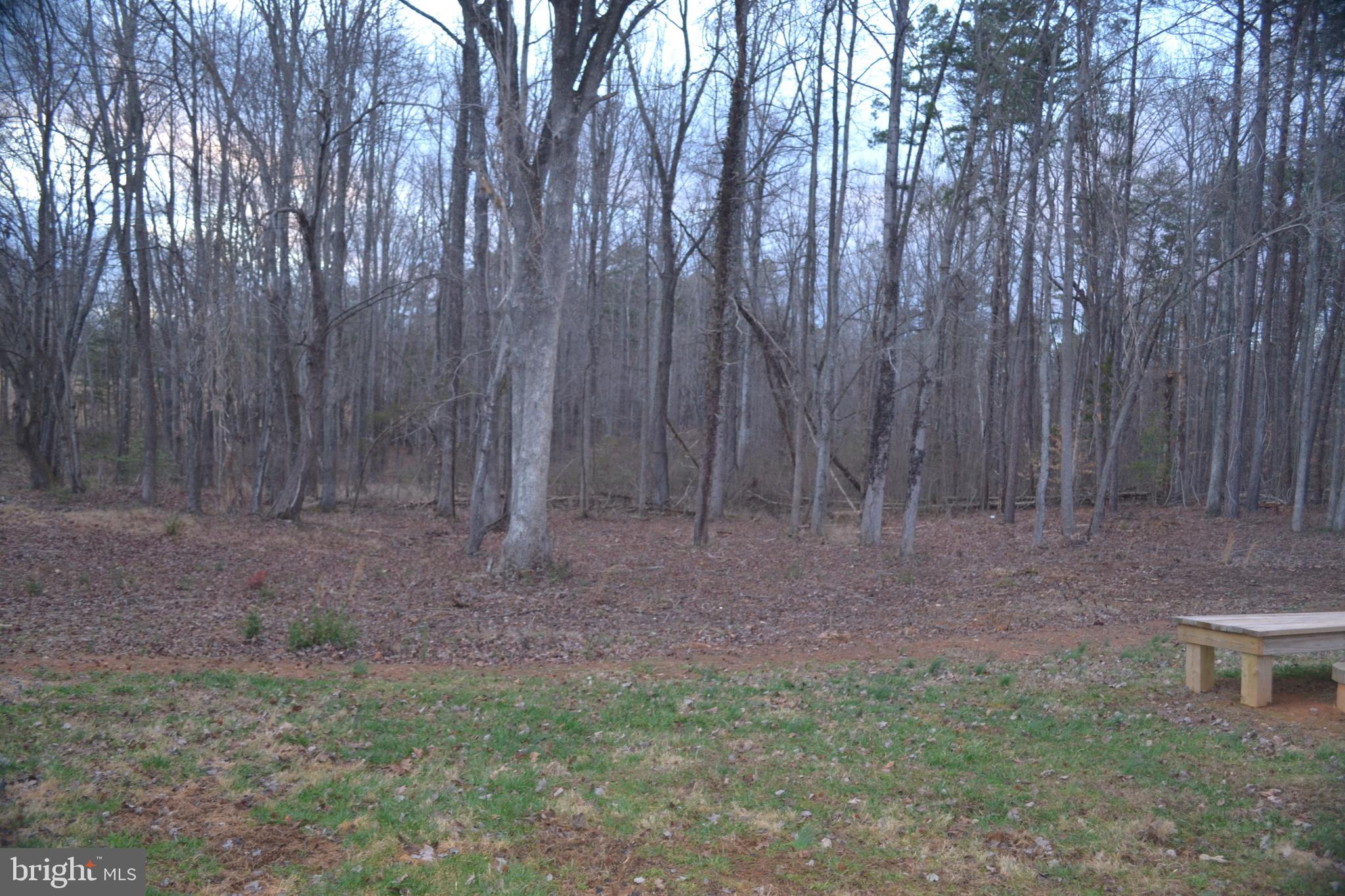 119 Range Road Louisa, VA 23093 - Photo 5 of 24 Open backyard