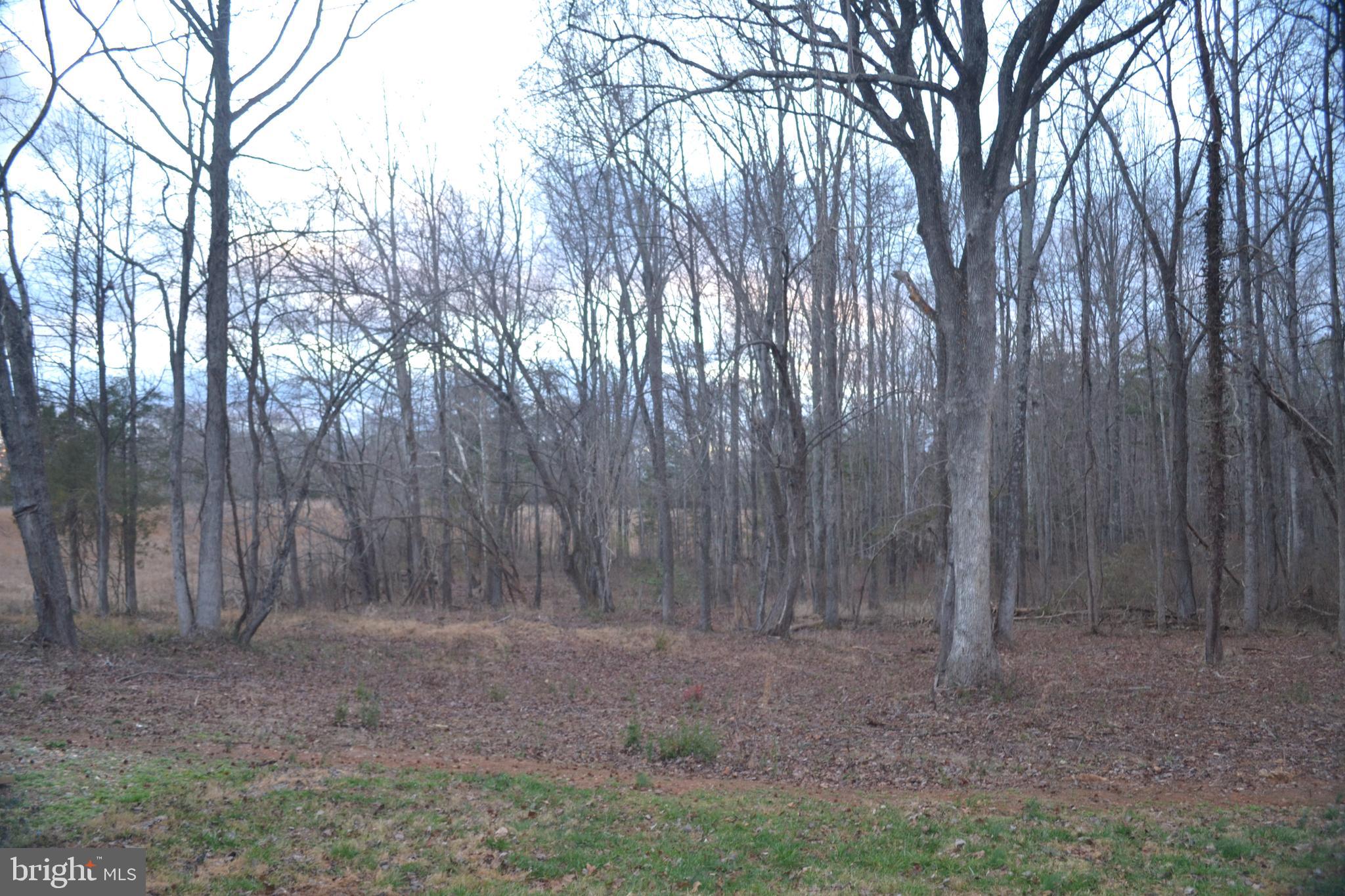 119 Range Road Louisa, VA 23093 - Photo 6 of 24 Gallery Image 6