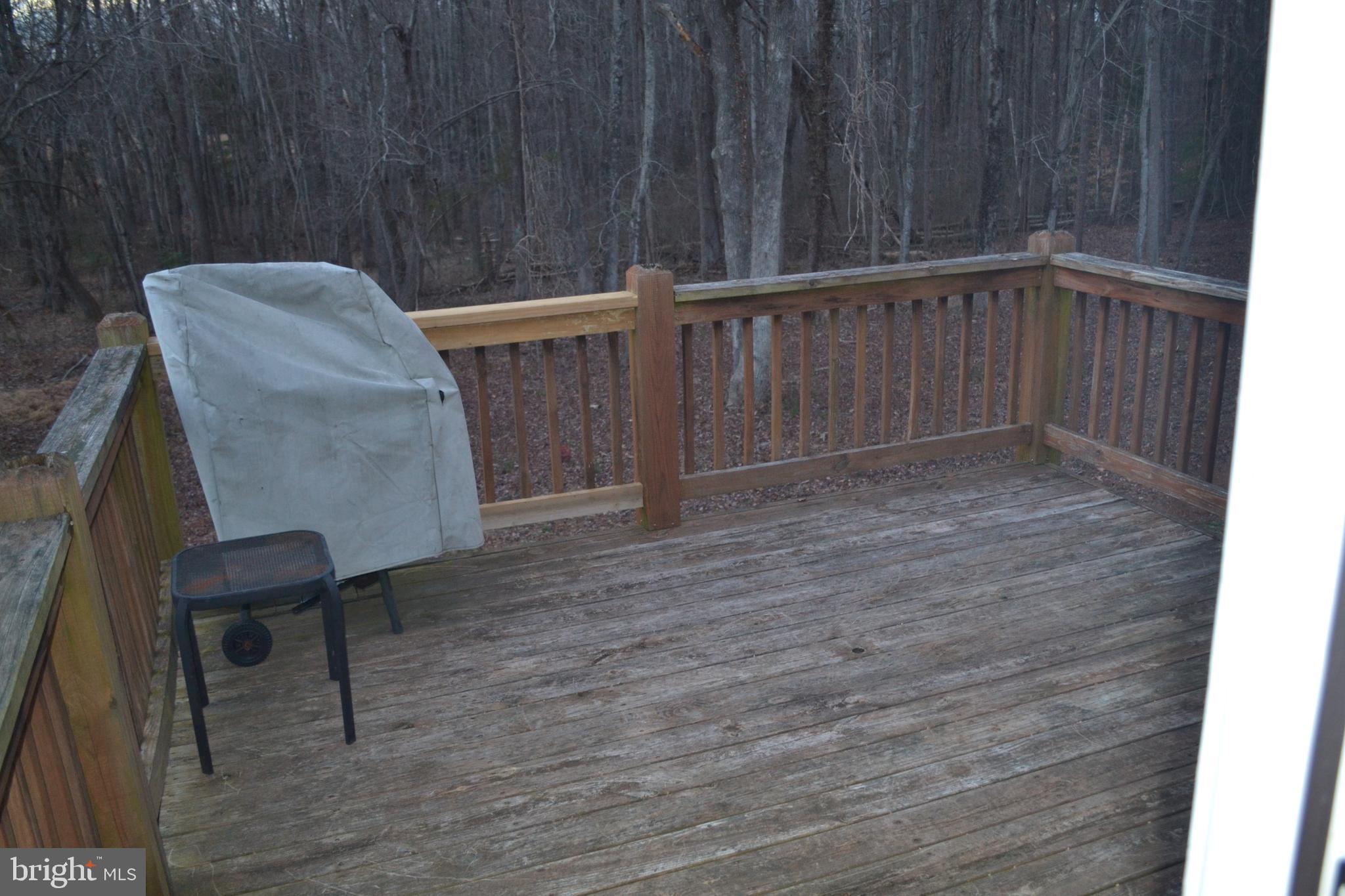119 Range Road Louisa, VA 23093 - Photo 10 of 24 Deck off of kitchen