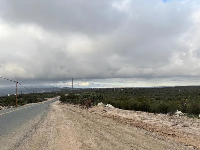 a view of a dry yard with lots of trees
