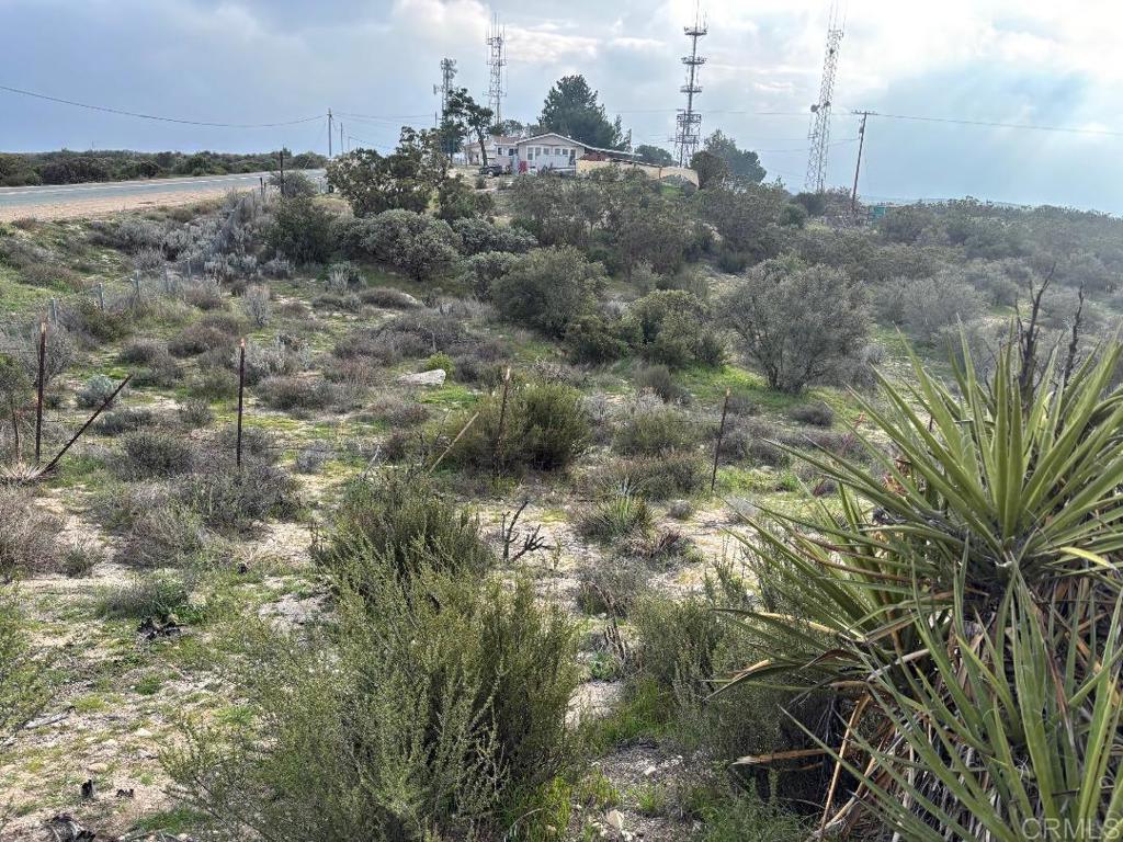 1746 Tierra Del Sol Road Boulevard, CA 91905 - Photo 2 of 11 a view of a dry yard with lots of trees