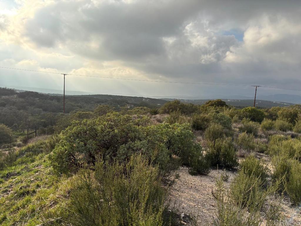 1746 Tierra Del Sol Road Boulevard, CA 91905 - Photo 3 of 11 a view of a bunch of trees