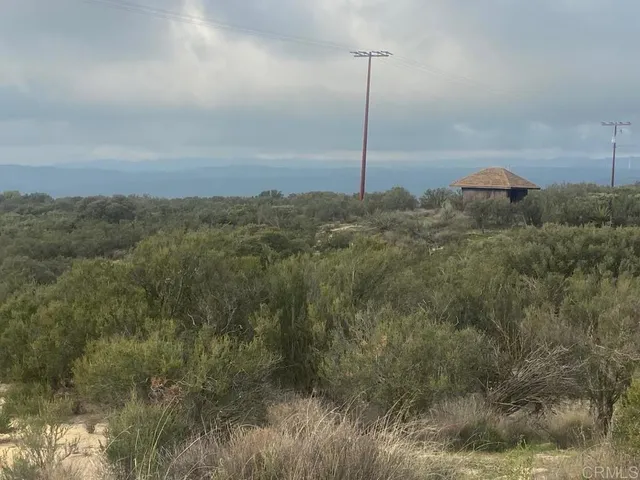 a view of a dry yard