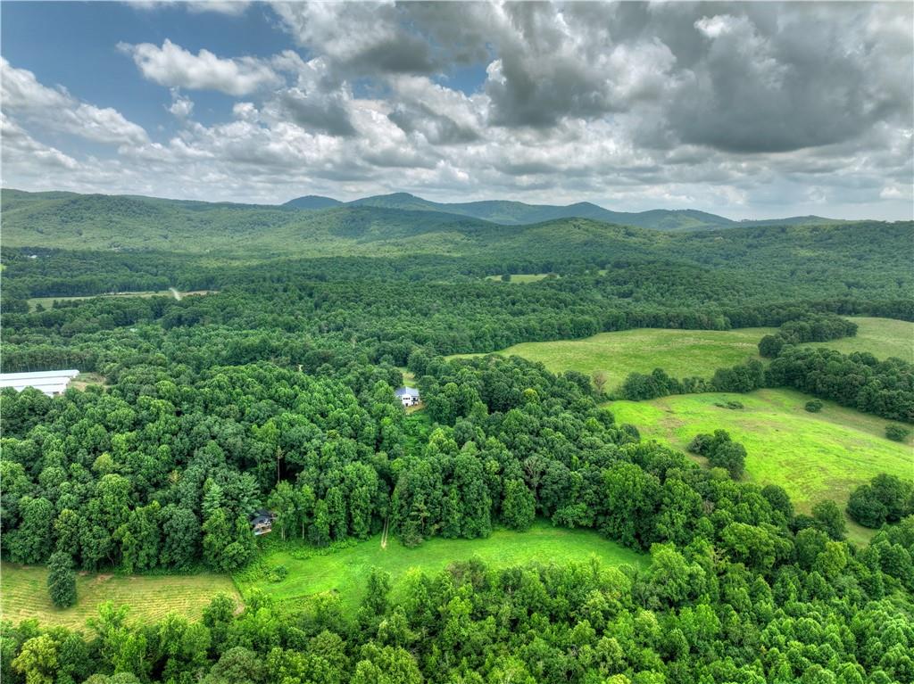 2086 Burnt Mountain Road Ellijay, GA 30536 - Photo 128 of 148