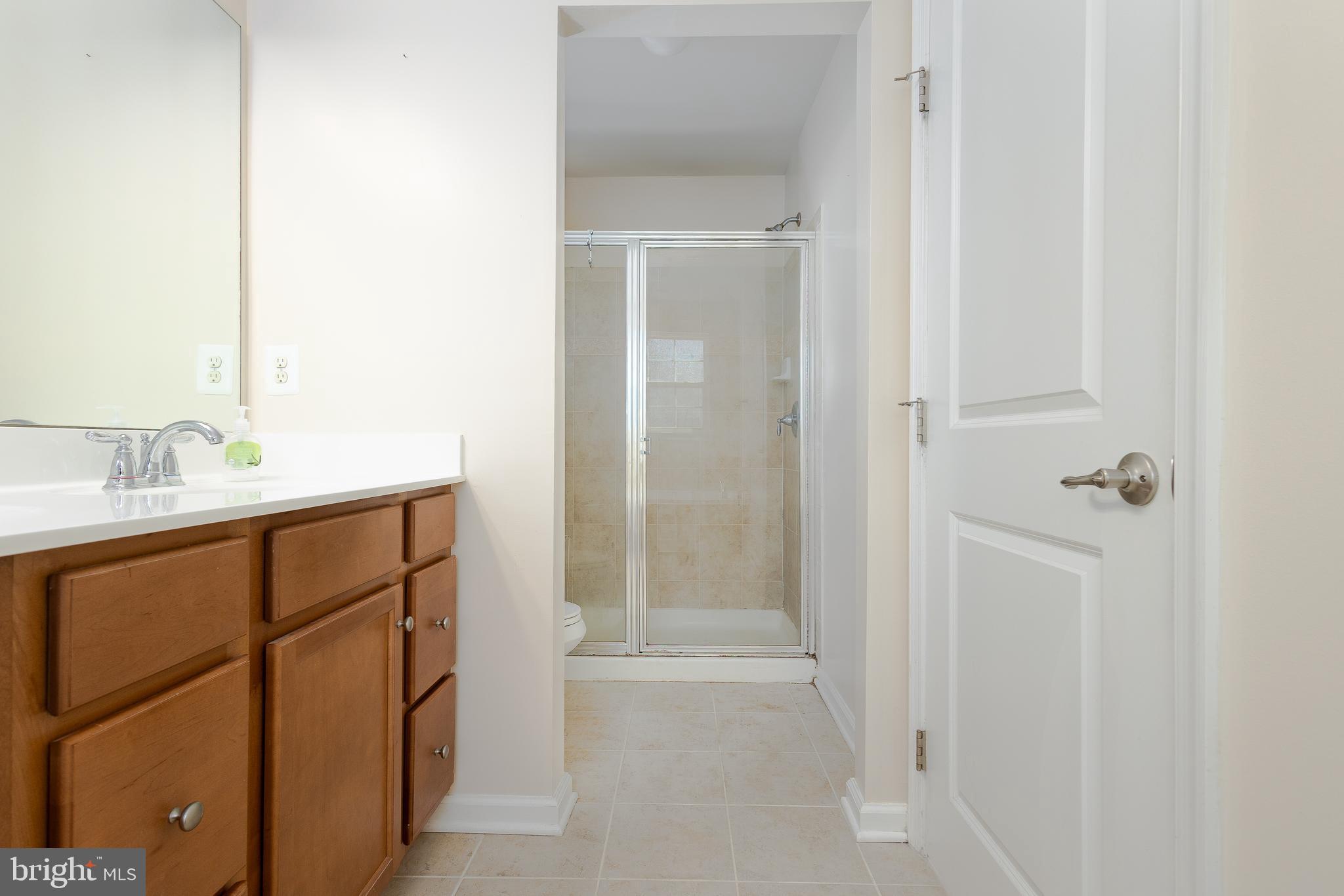 39 Streamside Place Falling Waters, WV 25419 - Photo 15 of 25 Primary ensuite bath walk in shower