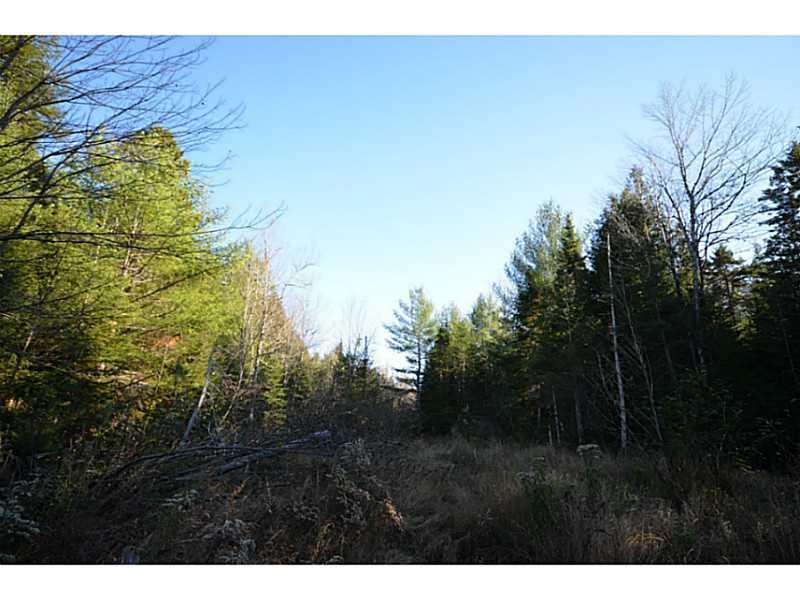 733 Spring Bridge Road Greenbush, ME 04418 - Photo 14 of 20 Land/Lot.