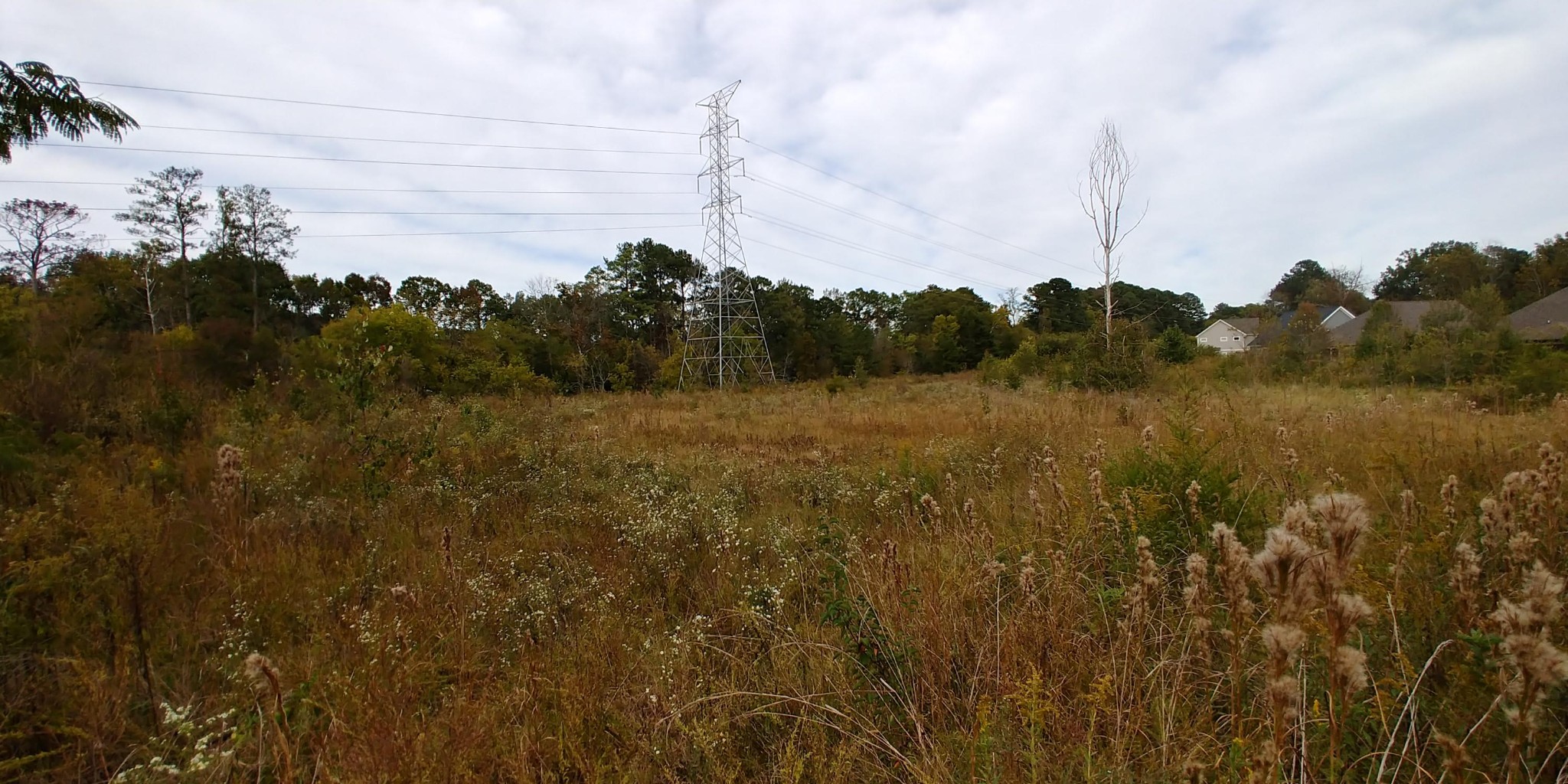 8149 East Brainerd Road Chattanooga, TN 37421 - Photo 18 of 23 a view of mountain with background