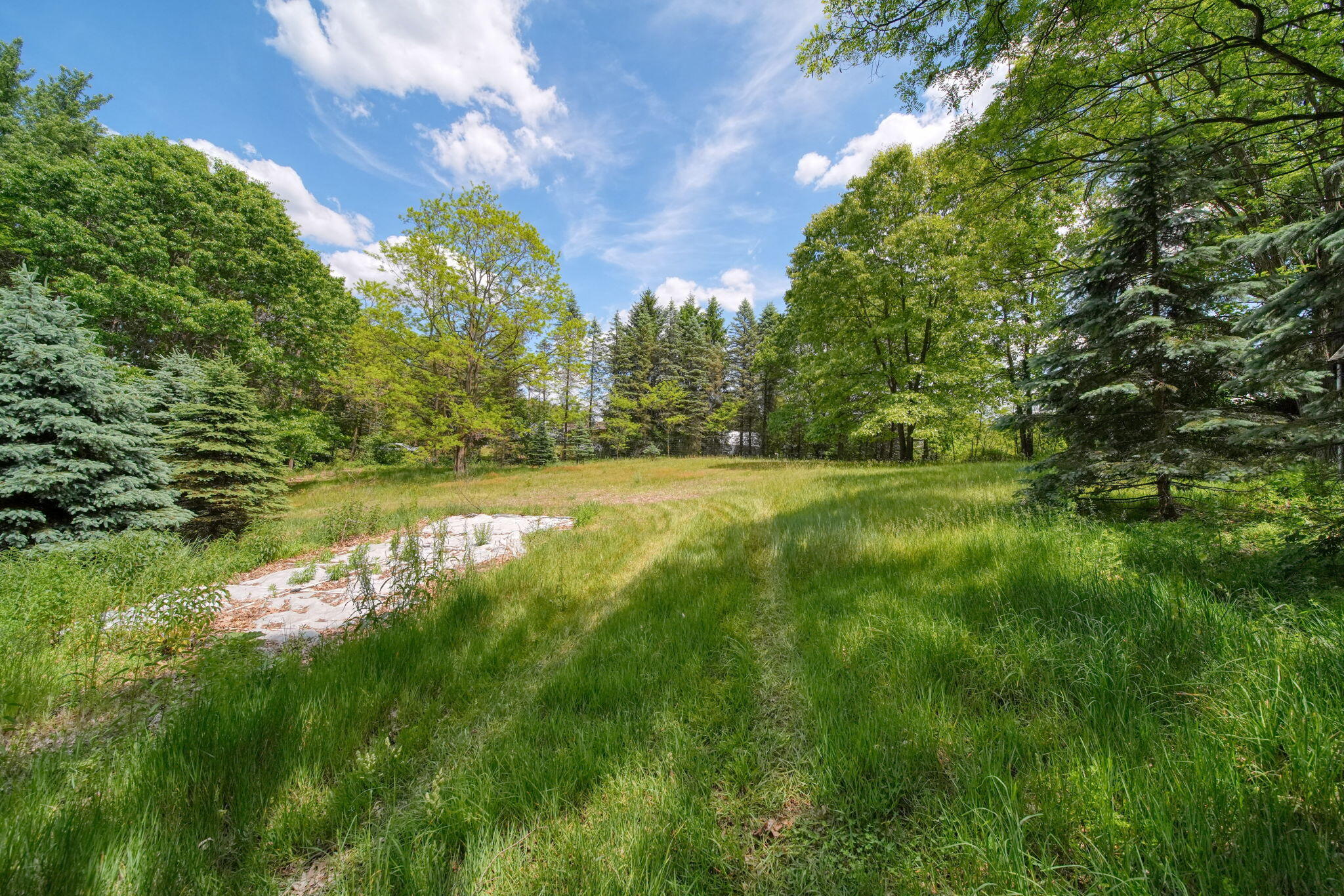 7925 Seymour Road Grass Lake, MI 49240 - Photo 63 of 75 77-web-or-mls-DSC05184_HDR