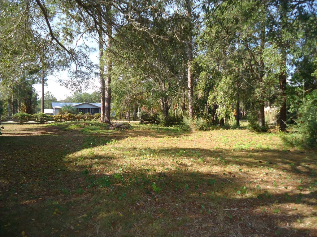 325 River Road Carrabelle, FL 32322 - Photo 10 of 23 Gallery Image 10