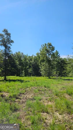 $159,000 | Lot 29 Bayside Drive, Greensboro, GA 30642
