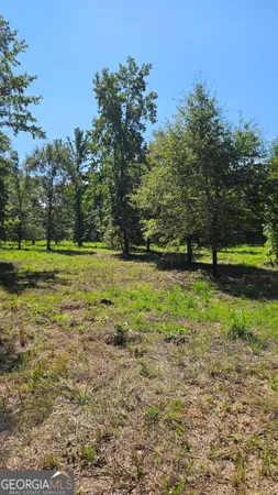 $159,000 | Lot 29 Bayside Drive, Greensboro, GA 30642