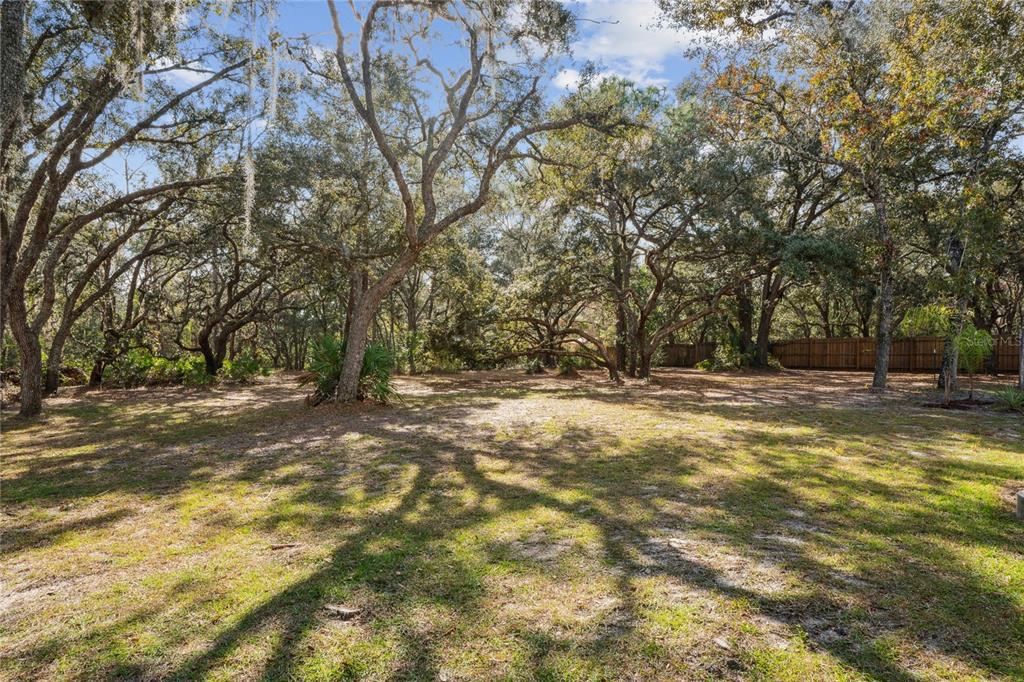 11185 Cleever Street Weeki Wachee, FL 34614 - Photo 45 of 57