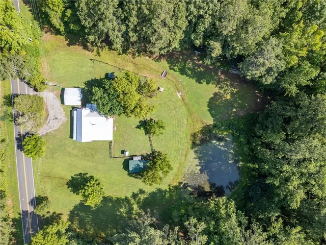 a view of a garden with plants