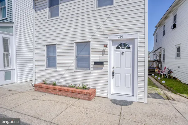 a potted plant sitting in front of a house