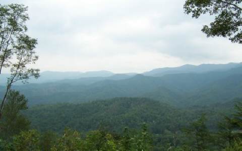 0 East Meadbrook Road Andrews, NC 28901 - Photo 1 of 1 Main View