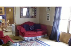 119 Laurel Road Greene, NY 13778 - Photo 4 of 11 Gallery Image 4