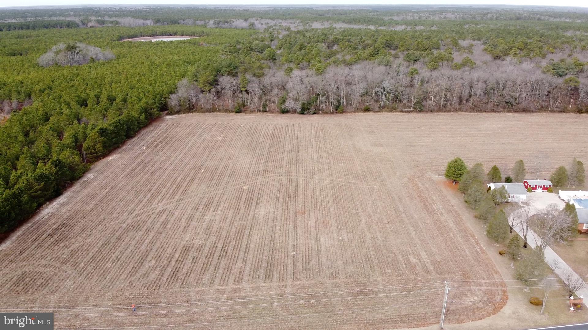 21063 Wilson Road Georgetown, DE 19947 - Photo 2 of 28 a view of an ocean and mountain view