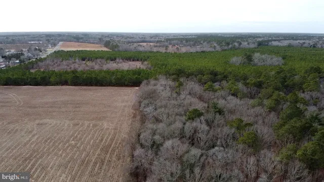 a view of a city with lush green forest