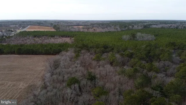 a view of a big yard with an buildings in the background