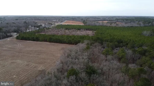 an aerial view of mountain with trees