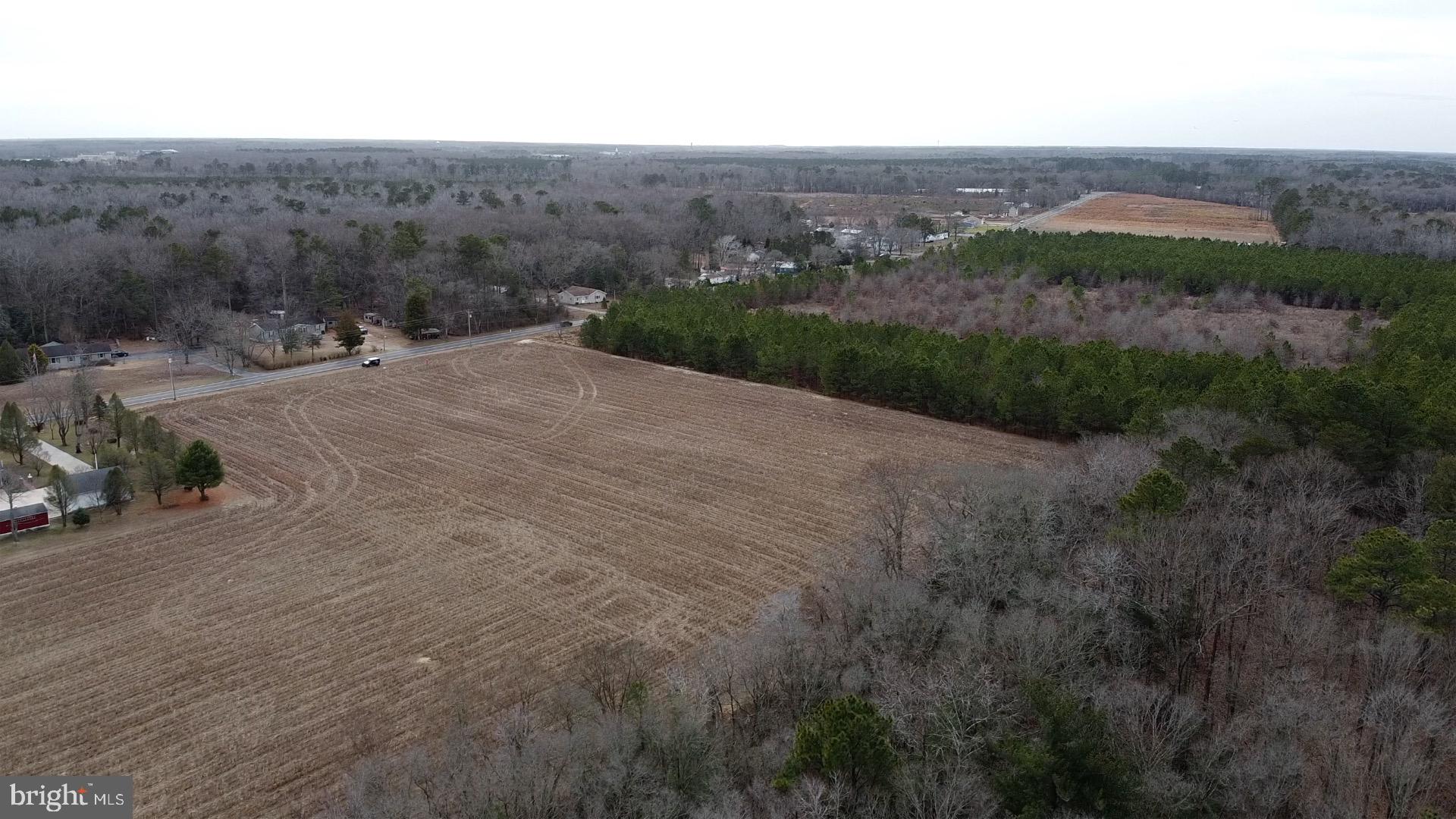 21063 Wilson Road Georgetown, DE 19947 - Photo 18 of 28 an aerial view of mountain with trees