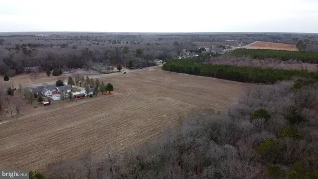 a view of a dry yard with trees