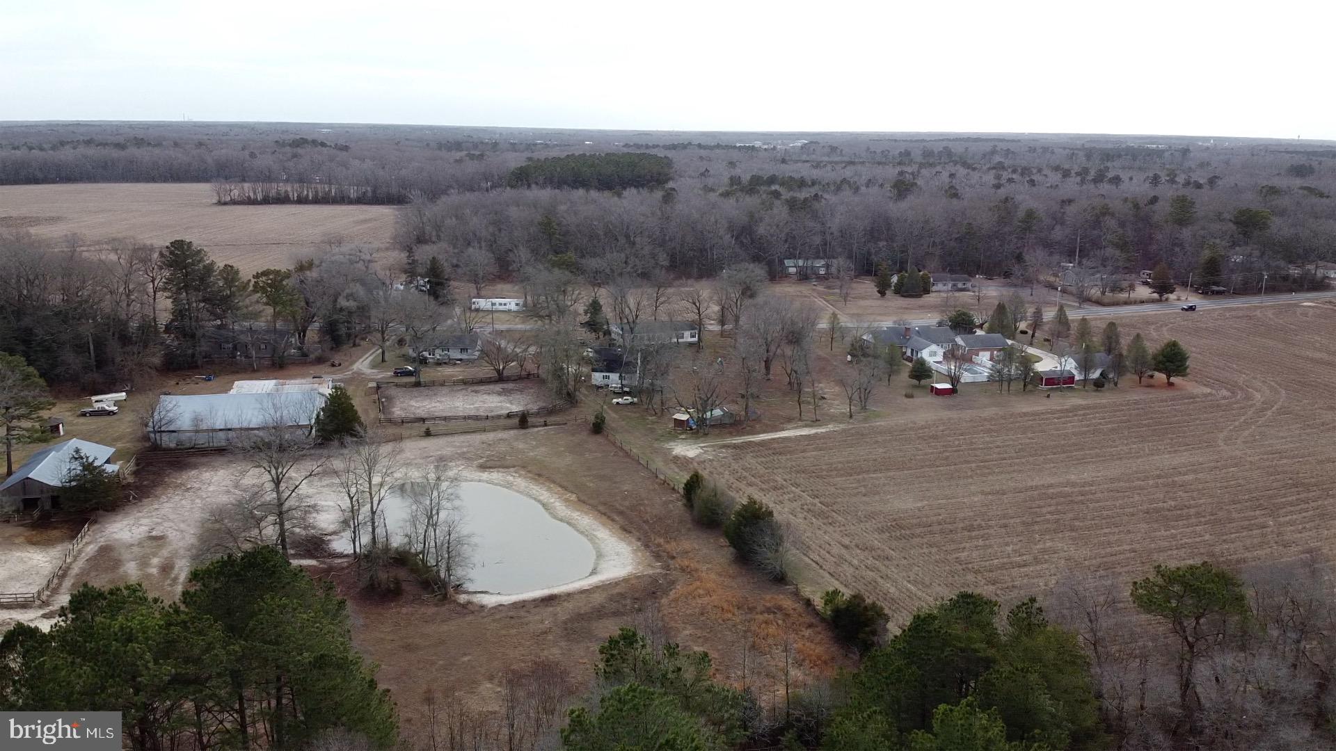 21063 Wilson Road Georgetown, DE 19947 - Photo 23 of 28 a view of a dry yard with trees