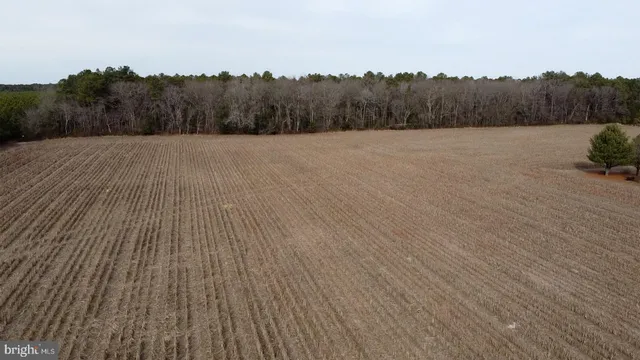 a view of a terrace view